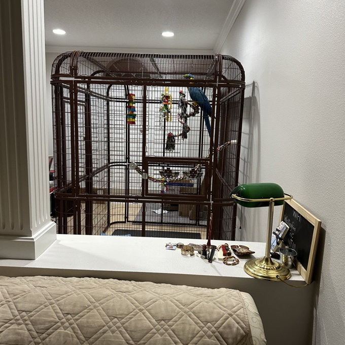 Tucker Murphy Pet™ Corwynn 80.7